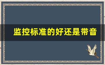 监控标准的好还是带音频的好_带音频的摄像头