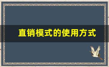 直销模式的使用方式