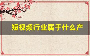 短视频行业属于什么产业_以下行业中属于第二产业的是