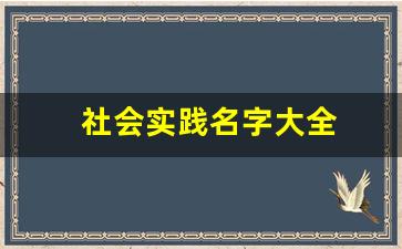 社会实践名字大全