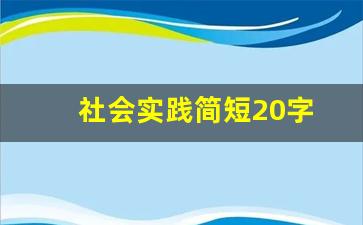 社会实践简短20字