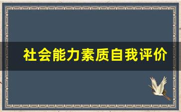 社会能力素质自我评价_职业发展素质自我评价