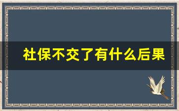 社保不交了有什么后果