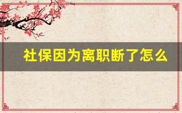 社保因为离职断了怎么办_社保离职后断交的赔偿