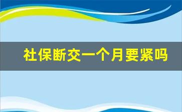 社保断交一个月要紧吗_个人如何在手机上补缴社保