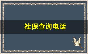 社保查询电话