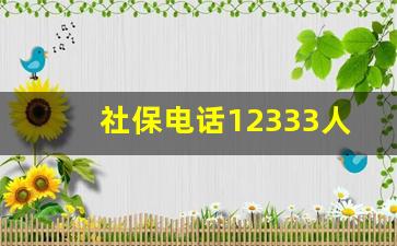 社保电话12333人工客服时间