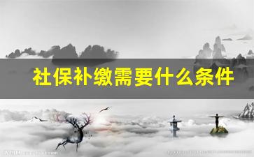 社保补缴需要什么条件_单位原因社保补缴政策