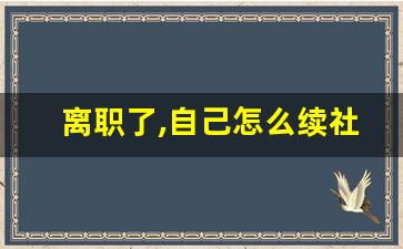 离职了,自己怎么续社保