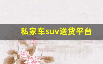 私家车suv送货平台_私家车干点什么挣钱