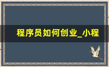 程序员如何创业_小程序开发一个多少钱啊