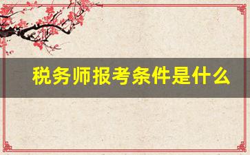 税务师报考条件是什么