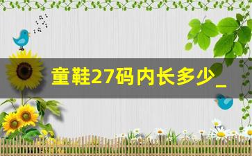 童鞋27码内长多少_孩子鞋码27内长是多少厘米