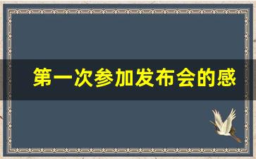 第一次参加发布会的感受