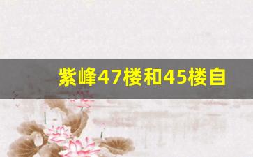 紫峰47楼和45楼自助餐哪个好_紫峰大厦78楼云端餐厅