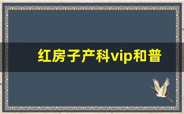 红房子产科vip和普通