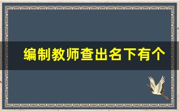 编制教师查出名下有个体户_教师办营业执照被处理