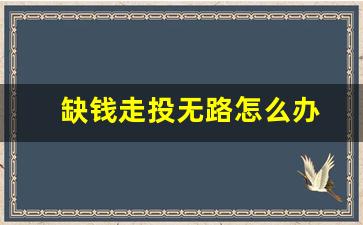 缺钱走投无路怎么办