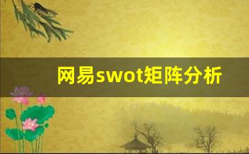 网易swot矩阵分析