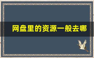 网盘里的资源一般去哪找