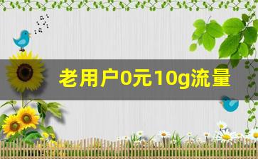 老用户0元10g流量包