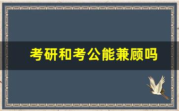 考研和考公能兼顾吗