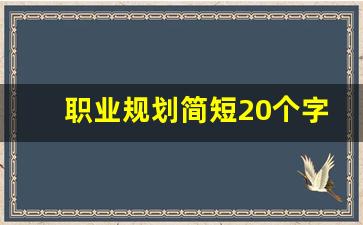 职业规划简短20个字_你的职业规划万能回答