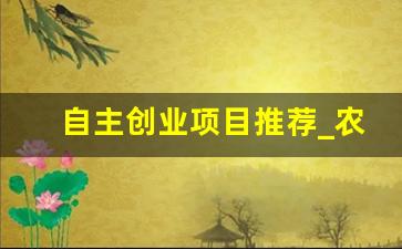 自主创业项目推荐_农村最火的小投资项目