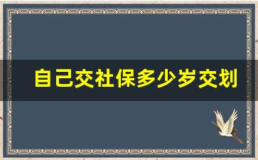 自己交社保多少岁交划算_36岁才开始交社保还划算吗