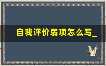 自我评价弱项怎么写_个人弱项怎么写比较好