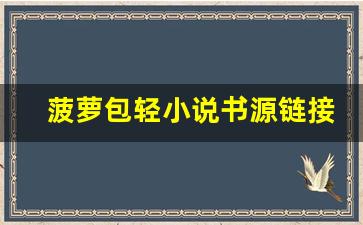 菠萝包轻小说书源链接_哪个大佬有菠萝包的书源