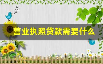 营业执照贷款需要什么条件_一无所有怎么贷款15万