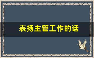 表扬主管工作的话