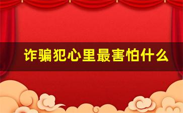 诈骗犯心里最害怕什么_诈骗案一旦立案就必须结案