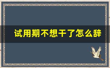 试用期不想干了怎么辞职