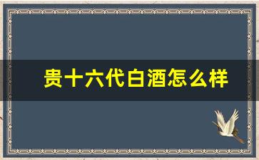 贵十六代白酒怎么样