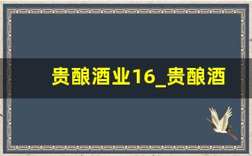 贵酿酒业16_贵酿酒业十六代价格