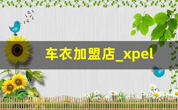 车衣加盟店_xpel