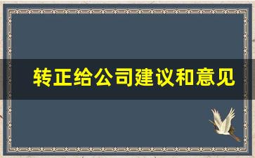 转正给公司建议和意见一栏怎么写_对公司无伤大雅的建议