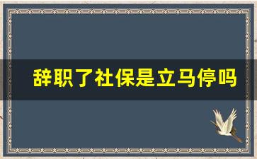 辞职了社保是立马停吗_我已辞职单位却不停社保