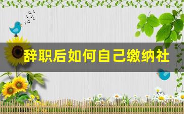 辞职后如何自己缴纳社保_换工作断了5个月社保怎么办