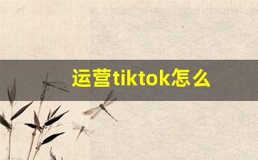 运营tiktok怎么赚钱_tiktok赚钱教程