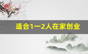 适合1一2人在家创业的项目_适合一个人倒腾的生意