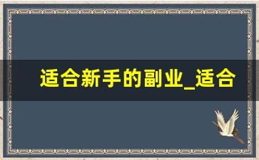 适合新手的副业_适合女生在家干的副业