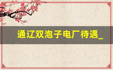 通辽双泡子电厂待遇_通辽电厂招聘180人