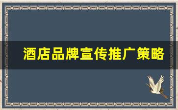 酒店品牌宣传推广策略_酒店的宣传方式有哪些