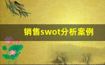 销售swot分析案例范文