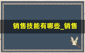 销售技能有哪些_销售人员的五种基本技能