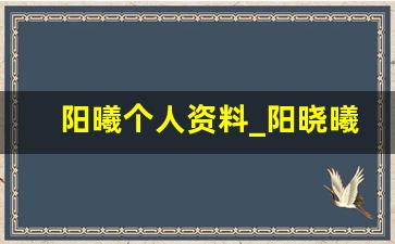 阳曦个人资料_阳晓曦