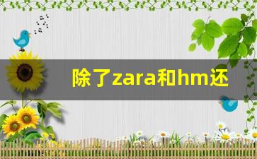 除了zara和hm还有什么牌子